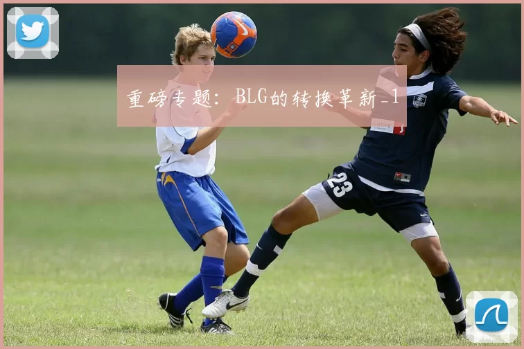 重磅专题：BLG的转换革新_1