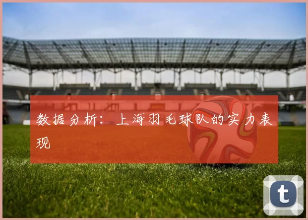 数据分析：上海羽毛球队的实力表现