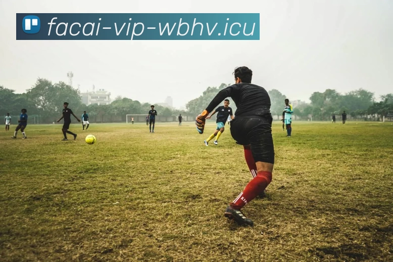 App Interface Preview